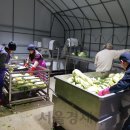 영농조합법인 장촌마을 이미지