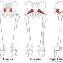 이(E)-메디칼 이미지