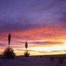 스타일PC 이미지