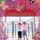 [견학] 두리랜드🎡🎢 이미지