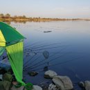 코코무인텔 이미지