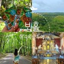 신성안경 | 보홀 육상 투어 현지 예약 | 초콜릿힐 로복강 안경원숭이 바클레욘성당 맨메이드 포레스트