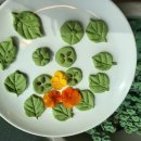 솔솔농장 이미지