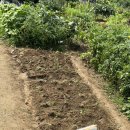 숲속둥지어린이집 이미지