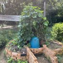 귤현동 경로당 이미지