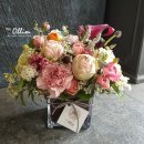 더 올림(The Ollim) 이미지