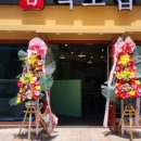 백초밥 이미지