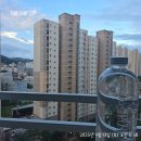 오일체인지 | [디톡스챌린지] 이뮤니프 메가체인지 13-14일차 후기