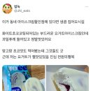 아이스크림할인점 이미지