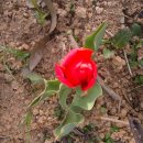 다윗농장 이미지