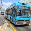 (주)대도운수 이미지