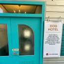 아이조아펫파크 동탄점 이미지