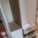 베스트 동물약품 | 구미 이사 폐기물처리 봉곡동 집정리 고양이 쓰레기집 특수 퇴실청소