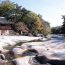 서울-언양-언양10 이미지