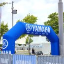 느림보농장 | 강아지랑 함께 느림보거북이마라톤 후기 with Pet 웰니스서울 2024