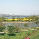 (테마투어)야경투어 이미지