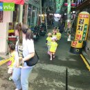 솔밭왓앤와이영재유치원
