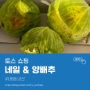 네일60 | [토스쇼핑🛒] 양배추 & 60초 퀵 네일 구매 후기