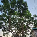 서남경로당 이미지