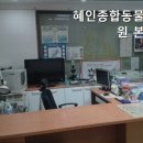 혜인종합 동물병원 | 목동동물병원 혜인종합동물병원 본점 신뢰할 수 있는 동물병원