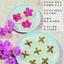 커피올림# 이미지