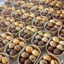 홍도동 행정복지센터 이미지