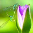 뽀뽀뽀 유치원 이미지