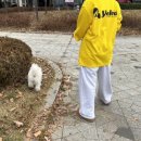 고잔유치원 이미지