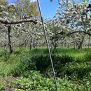 한빛농장 이미지