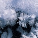 인공 + 자연 이미지