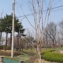 나무고아원입구 이미지