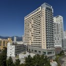 댄21 | 속초해변숙소 내돈내산 모어댄속초 해변점 위치 주차 비대면 솔직후기