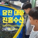 당진 진흥수산 대하구이 아이랑 먹고온 후기