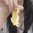 올리브팜 베이커리 재재방문 후기