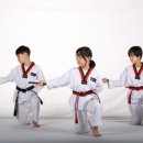 유림태권도장 이미지