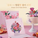 뚜레쥬르위든 이미지