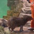 롯데월드아쿠아리움 | 잠실 롯데월드 아쿠아리움 금액 등 평일방문후기