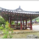 영광 침류정 이미지