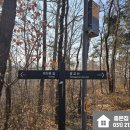 광교봄 공인중개사사무소 이미지