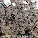 산성카서비스 이미지