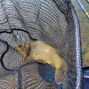 훼미리낚시터 이미지