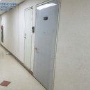 둔산북로 이미지