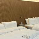 시그너스호텔 | [안동숙소] &lt;시그너스358호텔&gt; 가성비 안동 4인 숙소 추천