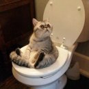 중앙학문병원 이미지