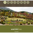 네이처스토리 이미지