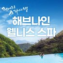 포레스트스파