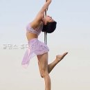 스토리 폴댄스 홍대점 서울특별시 발레학원 다녀왔는데 와.. 이렇게 다를 줄이야