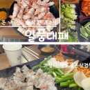 일품대패(곤지암점) | 강원도 속초시 조양동 속초아이&amp;속초해수욕장 옆 맛 좋고, 가성비 좋은 현지인 맛집 일품대패 솔직후기