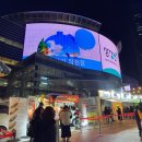 [코엑스 푸드페스티벌] 잇더서울 윈터 2019 판다와플, 자이언트맥팝, 대창덮밥 가격/위치/솔직후기 !!