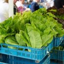 임계사통팔달시장 이미지